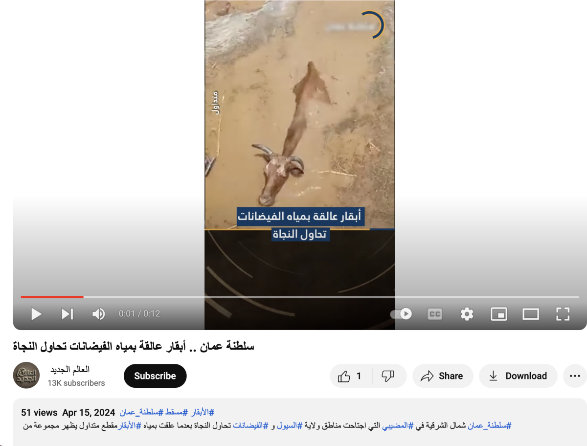 صورة التحقق