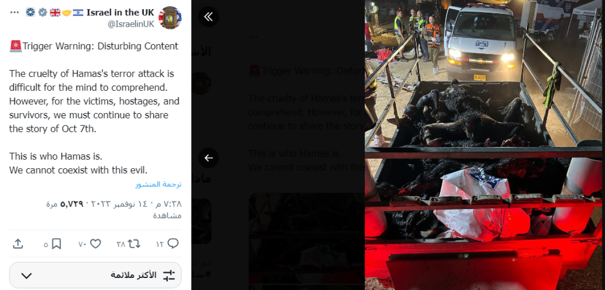 صورة التحقق