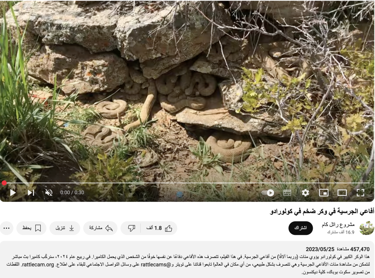 صورة التحقق