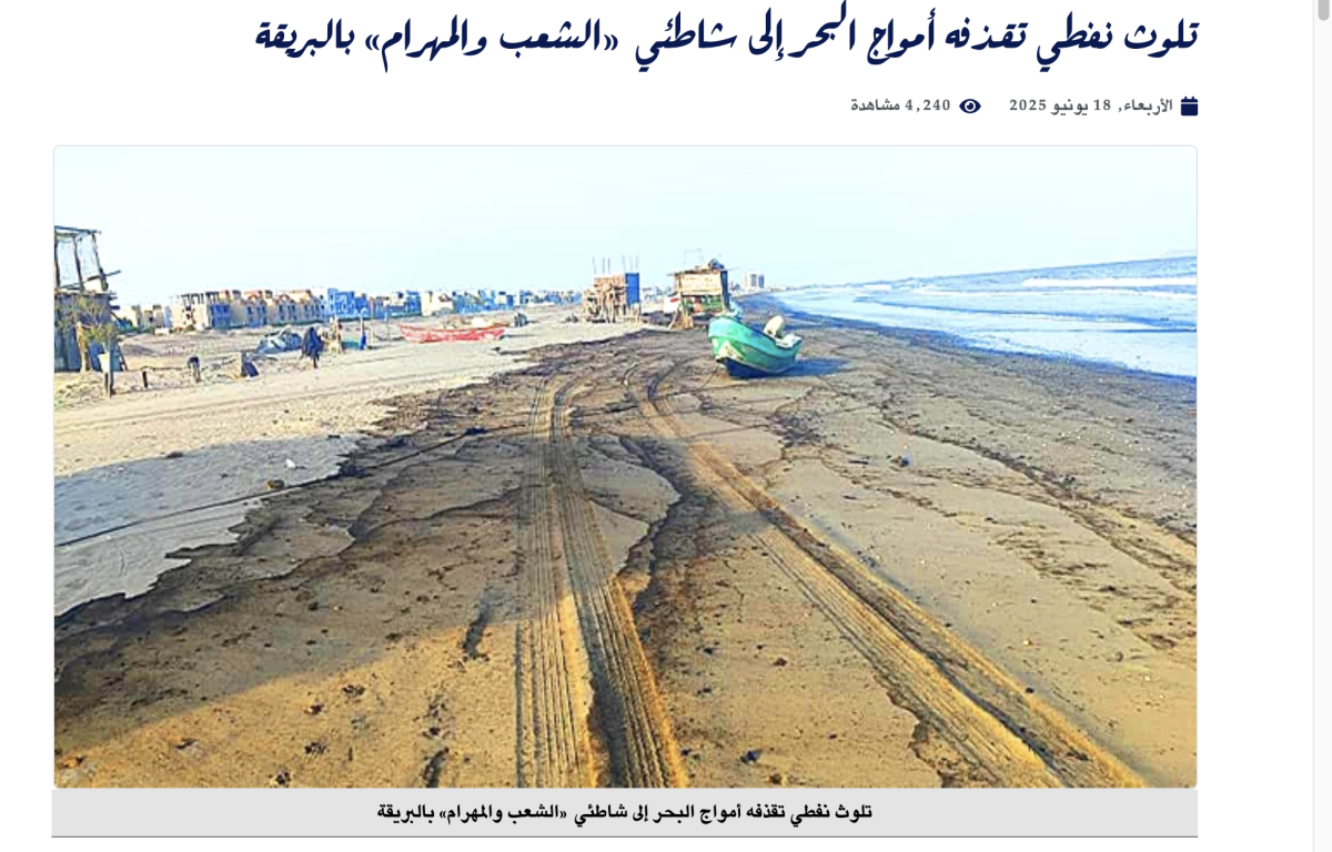 صورة التحقق