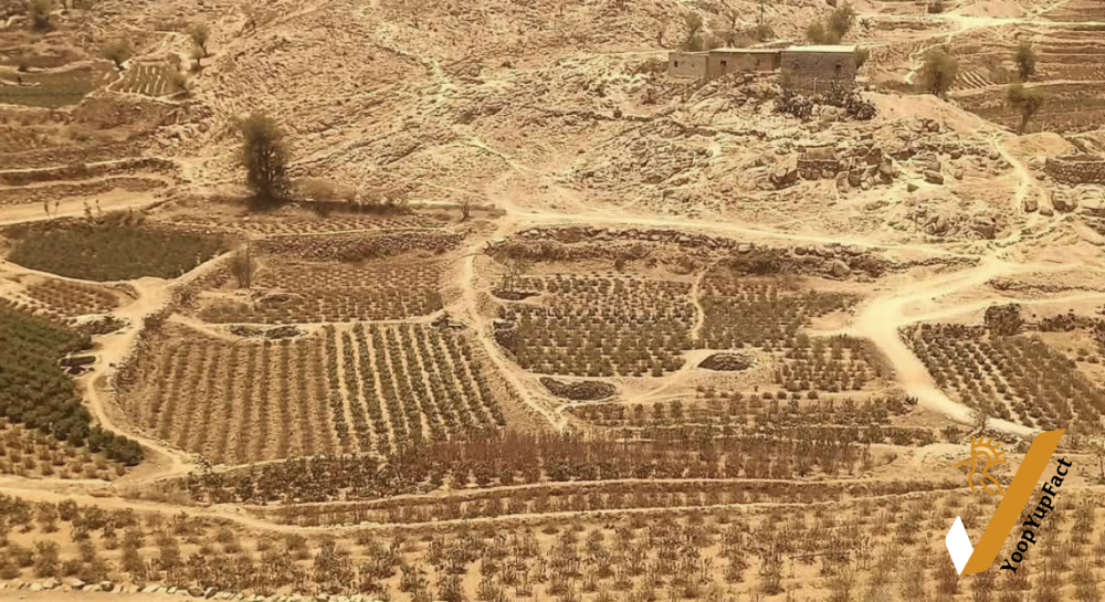 لا هندسة مناخية وراء الجفاف الحاصل في اليمن